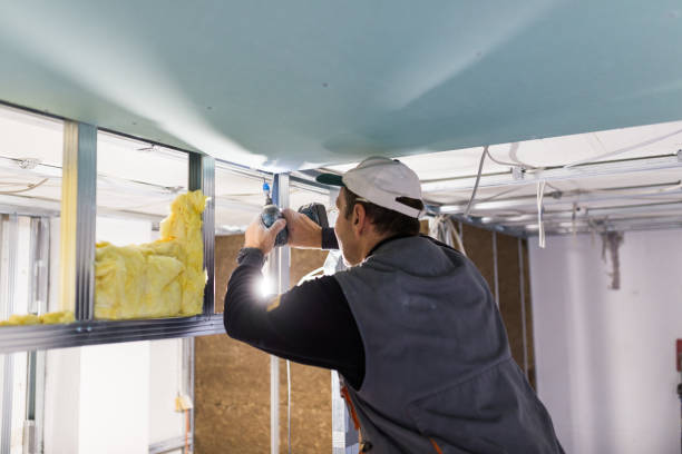 Best Commercial Insulation in Martha Lake, WA