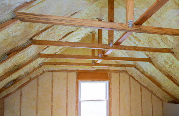 Best Insulation Maintenance and Repair in Martha Lake, WA