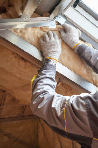 Best Insulation Installation Services in Martha Lake, WA